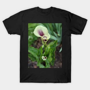 Calla Lilies Photographic Image T-Shirt